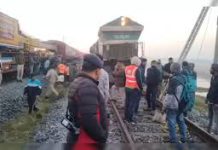 8 Elephants Killed as Sairang-New Delhi Rajdhani Express Hits Herd in Assam 8 Elephants Killed as Sairang-New Delhi Rajdhani Express Hits Herd in Assam