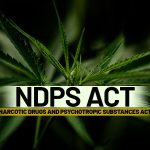 Passenger Held Under NDPS Act During Early Morning Checking In J&K’s Sunderbani Passenger Held Under NDPS Act During Early Morning Checking In J&K’s Sunderbani