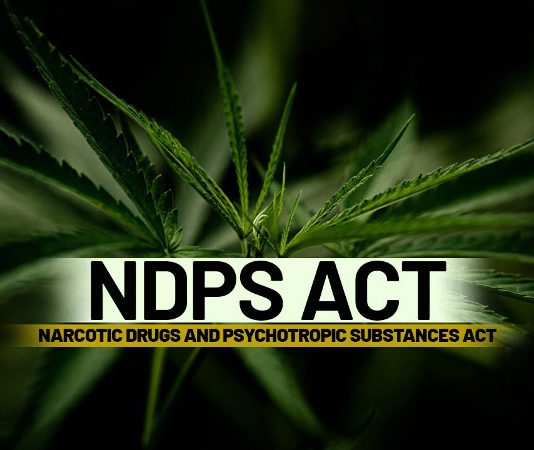 Passenger Held Under NDPS Act During Early Morning Checking In J&K’s Sunderbani Passenger Held Under NDPS Act During Early Morning Checking In J&K’s Sunderbani