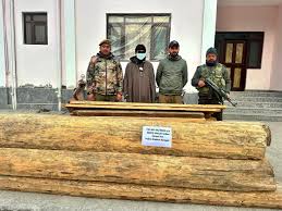 images (22) Ganderbal Police Bust Illegal Timber Smuggling Recover Large Quantity of Forest Timber