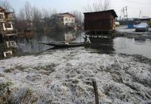 Severe Cold Wave Continues in J&K and Ladakh; Shopian Records -8.2°C, Pulwama -8°C Severe Cold Wave Continues in J&K and Ladakh; Shopian Records -8.2°C, Pulwama -8°C
