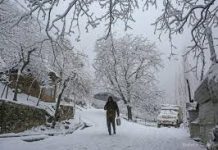 Fresh Wet Spell to Hit J&K From Jan 19; Heavy Snowfall Possible in Some Areas, Says MET Director Fresh Wet Spell to Hit J&K From Jan 19; Heavy Snowfall Possible in Some Areas Says MET Director