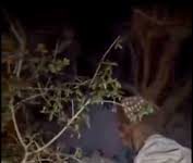 Woman Found Tied Inside Plastic Bag in Rajouri; Police Begin Investigation Woman Found Tied Inside Plastic Bag in Rajouri; Police Begin Investigation