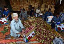 Apple Growers in J&K Fear 50% Income Loss Amid India–US Trade Deal Apple Growers in J&K Fear 50% Income Loss Amid India–US Trade Deal