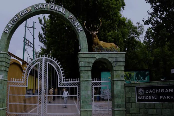 NGT notice to J-K govt over construction of CRPF's camping site near wildlife reserve