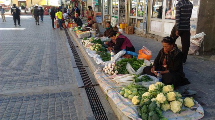Grocery, Essential Services & Vegetable Shops Allowed to Open Till 5 PM in Leh