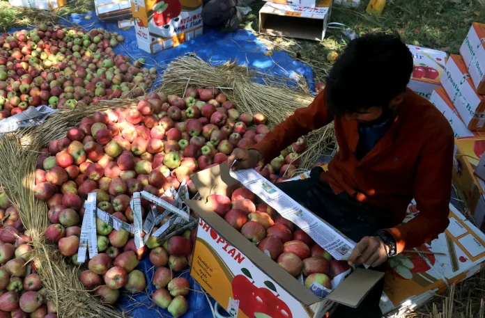 shopian-fruit-mandi-shuts-for-two-days-rs-30-crore-worth-apple-crates-stranded Shopian Fruit Mandi Shuts for Two Days, Rs 30 Crore Worth Apple Crates Stranded