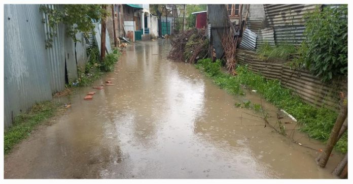 Water Logging Due to Defunct Drains Inundates Ratnipora Locality