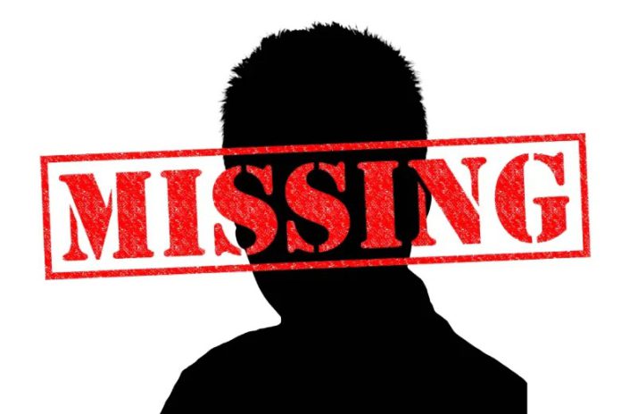 Two Army commandos go missing in South Kashmir forest Two Army commandos go missing in South Kashmir forest