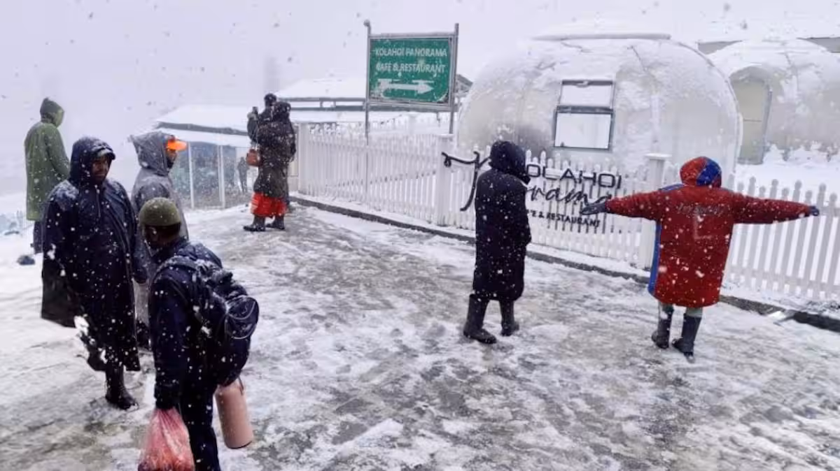 Fresh Snowfall Revives Hopes for Kashmir’s Winter Tourism Fresh Snowfall Revives Hopes for Kashmir’s Winter Tourism