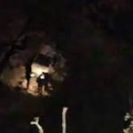 Three Dead, Two Injured as Car Falls Into Gorge on Bhandar Road in Bani Three Dead, Two Injured as Car Falls Into Gorge on Bhandar Road in Bani