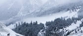 images - 2025-12-06T172420.271 Sonmarg Sees Gradual Rise in Tourists, Stakeholders Hope for Winter Boost