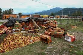 images - 2025-12-11T130719.984 Fire Ravages Hundreds of Apple Crates in Tulran, Shopian