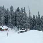 Fresh snowfall covers Kashmir’s higher reaches as cold wave intensifies Fresh snowfall covers Kashmir’s higher reaches as cold wave intensifies