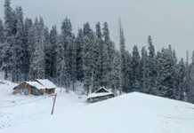 Fresh snowfall covers Kashmir’s higher reaches as cold wave intensifies Fresh snowfall covers Kashmir’s higher reaches as cold wave intensifies