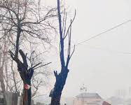 Fire Ravages Scrap Shops in Padshahi Bagh; House Damaged in Tral Blaze Fire Ravages Scrap Shops in Padshahi Bagh; House Damaged in Tral Blaze