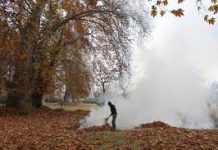 Srinagar Air Quality Moderately Polluted as Winter Haze Settles In Srinagar Air Quality Moderately Polluted as Winter Haze Settles In