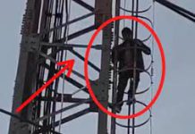 Man Climbs Telecom Tower in Jagti Camp Protest Over Shop Allotment Man Climbs Telecom Tower in Jagti Camp Protest Over Shop Allotment