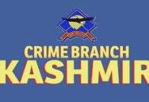 Crime Branch Cracks Fake Job–Land Racket; Chargesheet Filed Against Srinagar Woman Crime Branch Cracks Fake Job–Land Racket; Chargesheet Filed Against Srinagar Woman