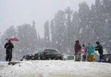 Kashmir to See Light Snow and Rain Around New Year Kashmir to See Light Snow and Rain Around New Year