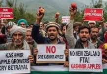Kashmir Apple Growers Raise Alarm Over India–New Zealand FTA, Say Promises Broken Kashmir Apple Growers Raise Alarm Over India–New Zealand FTA, Say Promises Broken
