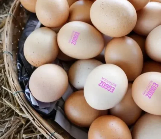 Eggoz Egg Controversy Sparks National Outrage Eggoz Egg Controversy Sparks National Outrage