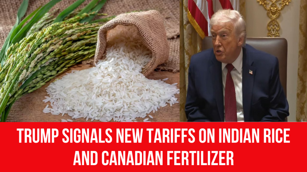 Trump Signals Possible New Tariffs on Indian Rice Amid US Farmers’ Dumping Allegations Trump Signals Possible New Tariffs on Indian Rice Amid US Farmers’ Dumping Allegations