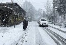J&K Police Orders Enquiry After Cricketer Wears Palestinian Logo on Helmet Dry Spell to Continue in Kashmir Until January 20 Raising Concerns