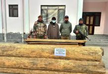 Ganderbal Police Bust Illegal Timber Smuggling, Recover Large Quantity of Forest Timber Ganderbal Police Bust Illegal Timber Smuggling Recover Large Quantity of Forest Timber