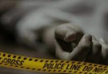 Six-Year-Old Dies, Brother Critical After Wooden Logs Fall on Them in Srinagar Six-Year-Old Dies, Brother Critical After Wooden Logs Fall on Them in Srinagar